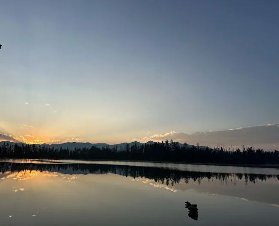 Pettit Lake Campground