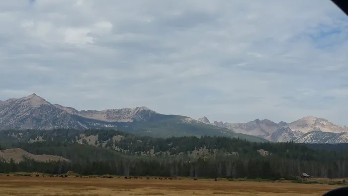 Pettit Lake Campground 6