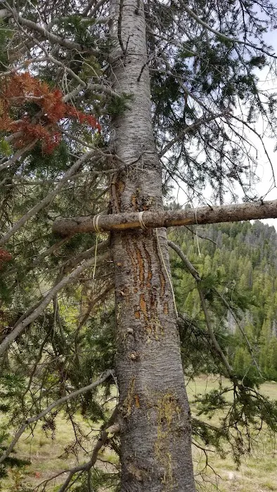 Chemeketan Campground 4