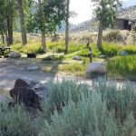 Whiskey Flat Campground