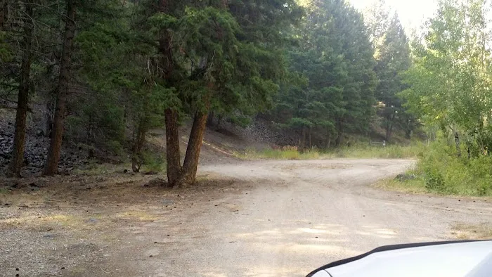 Holman Creek Campground 4