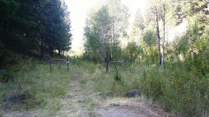 Holman Creek Campground 6