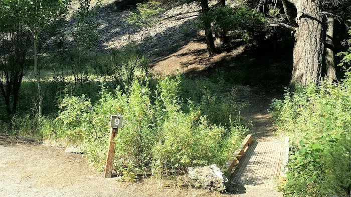 Holman Creek Campground 8