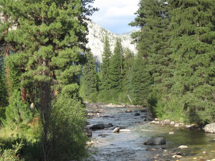 Riverside Campground 2