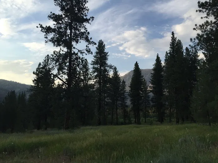 Riverside Campground 8