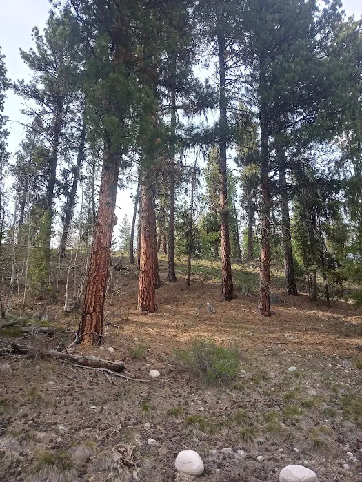 Riverside Campground 7