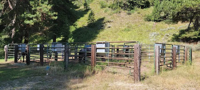 Willow Creek Transfer Camp 0