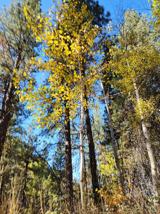 Bird Creek Campground 1