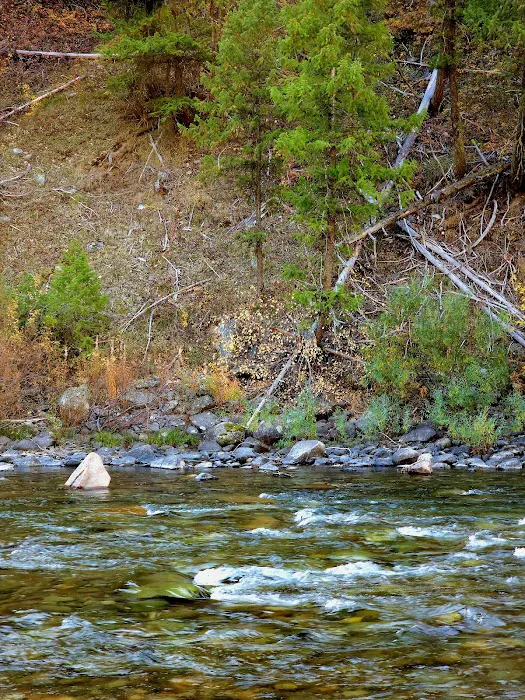 Bird Creek Campground 3
