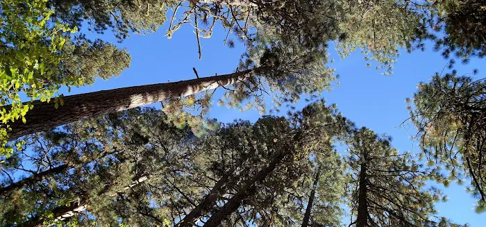 Bird Creek Campground 0