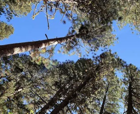 Bird Creek Campground