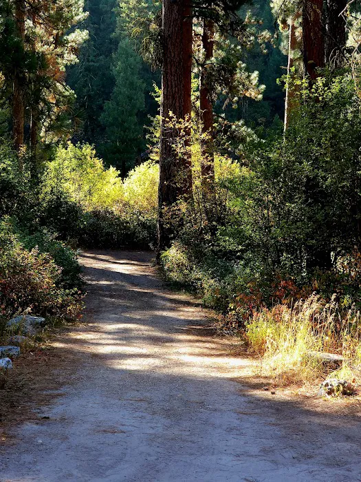 Bird Creek Campground 6