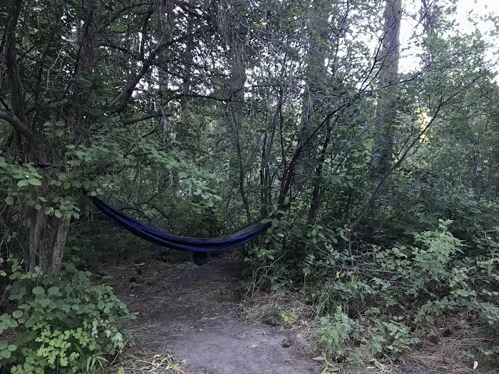 Bird Creek Campground 7