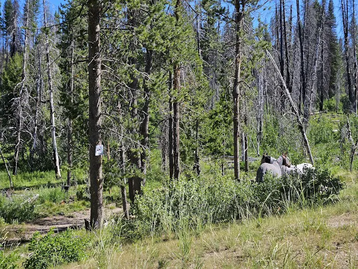 Whoop Um Up Equestrian Campground 0