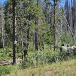 Whoop Um Up Equestrian Campground