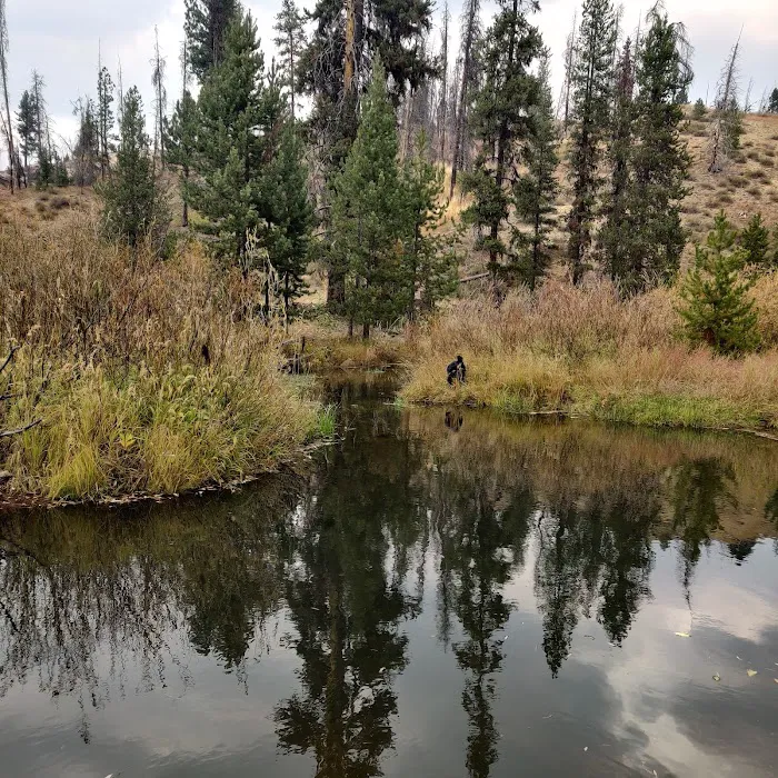 Beaver Creek Cabin 2
