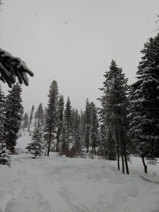 Beaver Creek Cabin 5