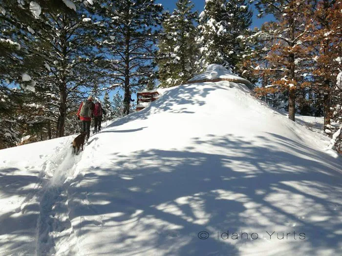 Skyline Yurt 6