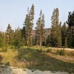 Beaver Creek Transfer Camp Trailhead (recgovnpsdata)