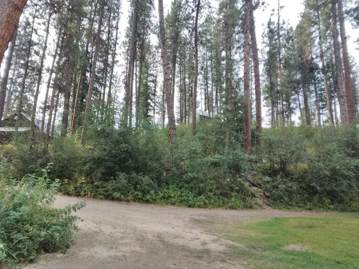 Pinetop Recreation Camp 4