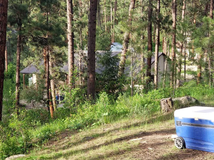 Pinetop Recreation Camp 8