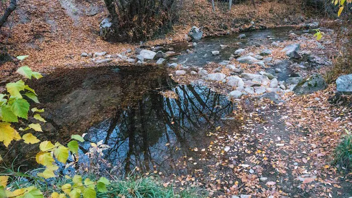 Cottonwood Campground 1