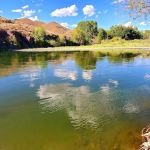 Cottonwood Campground