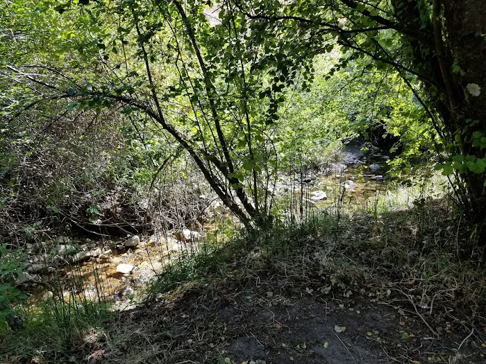 Cottonwood Campground 3