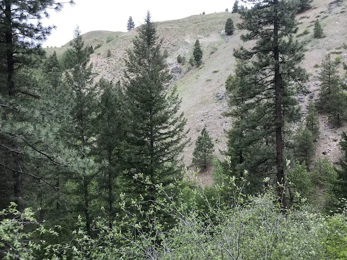 Cottonwood Campground 8