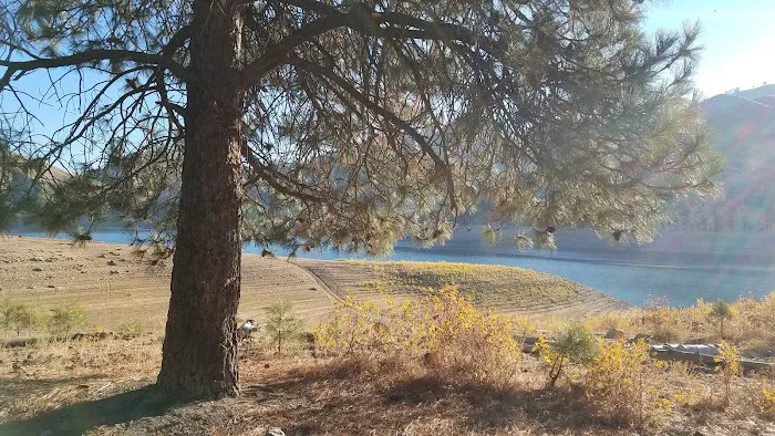 Irish Point Dispersed Campground 9