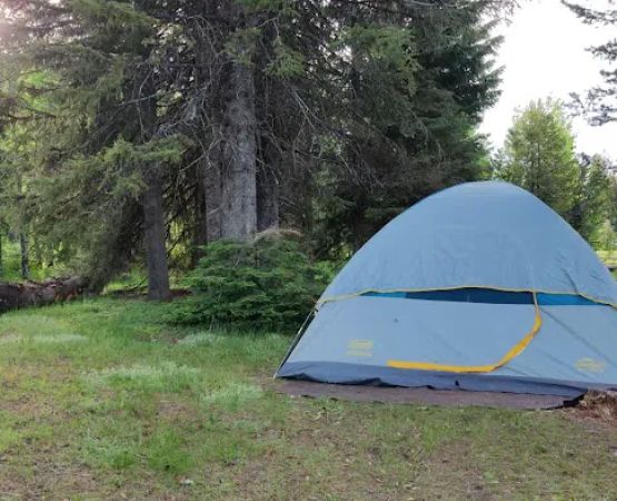Curlew Campground