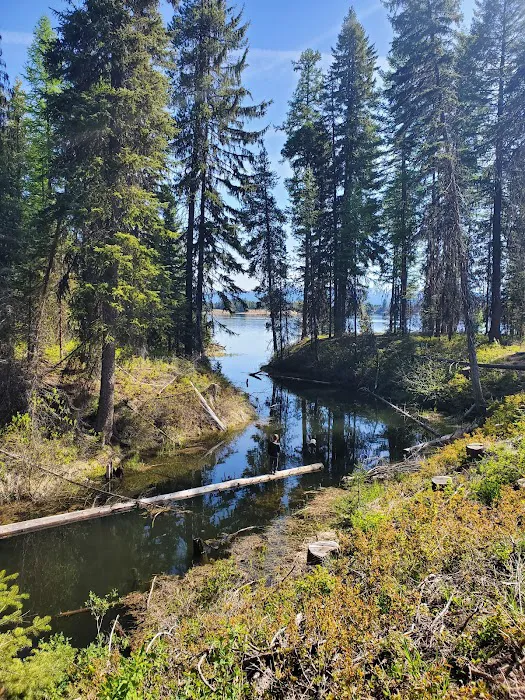 Amanita Campground 1