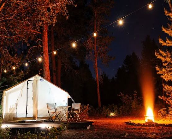 Camp Modern