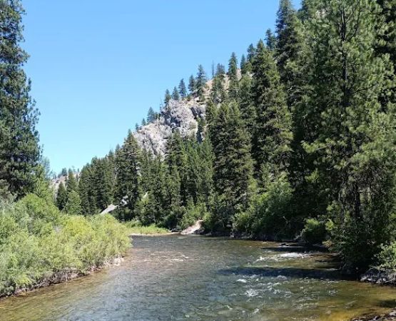 Abbot Campground