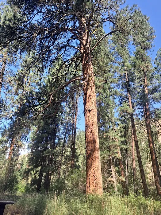 Abbot Campground 2