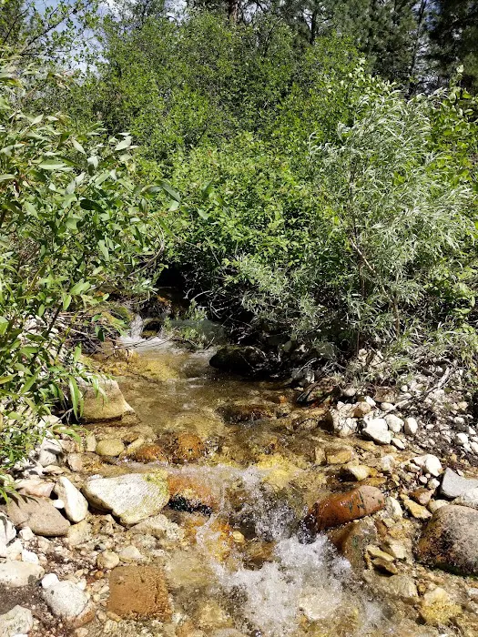 Abbot Campground 7