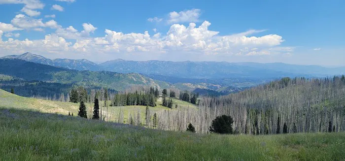 Little Trinity Lake Campground 0