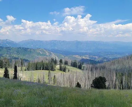 Little Trinity Lake Campground