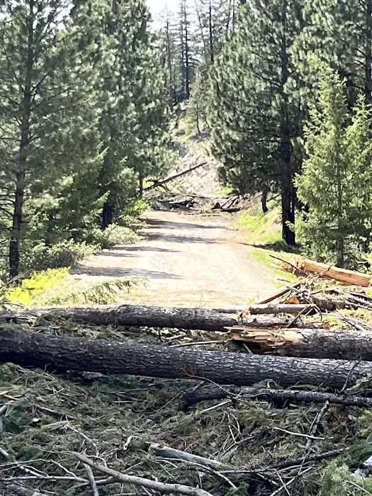 Little Trinity Lake Campground 5