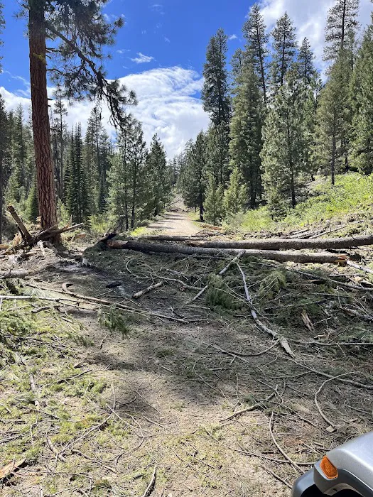 Little Trinity Lake Campground 1