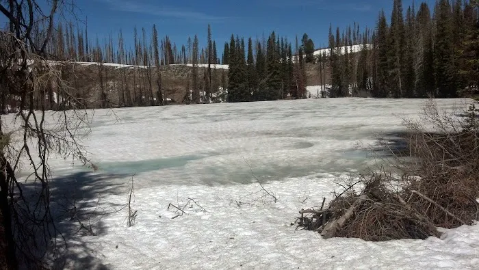 Little Trinity Lake Campground 3
