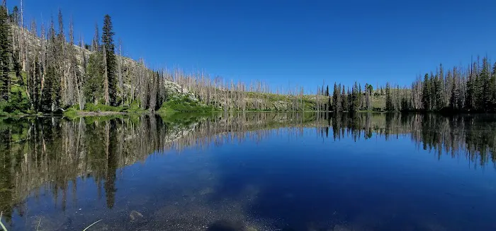 Little Trinity Lake Campground 9