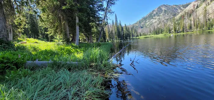 Little Trinity Lake Campground 6