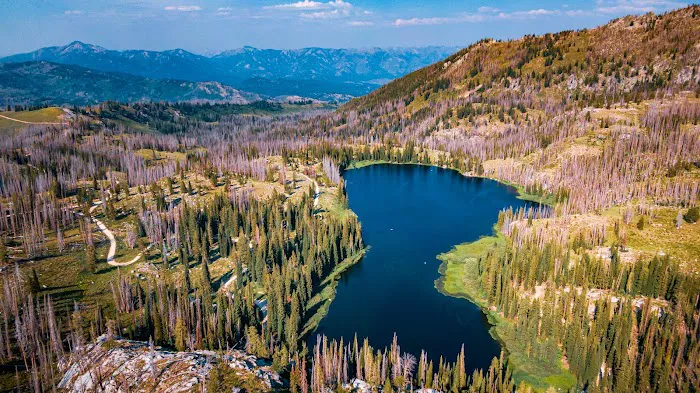 Big Trinity Lake Campground 1