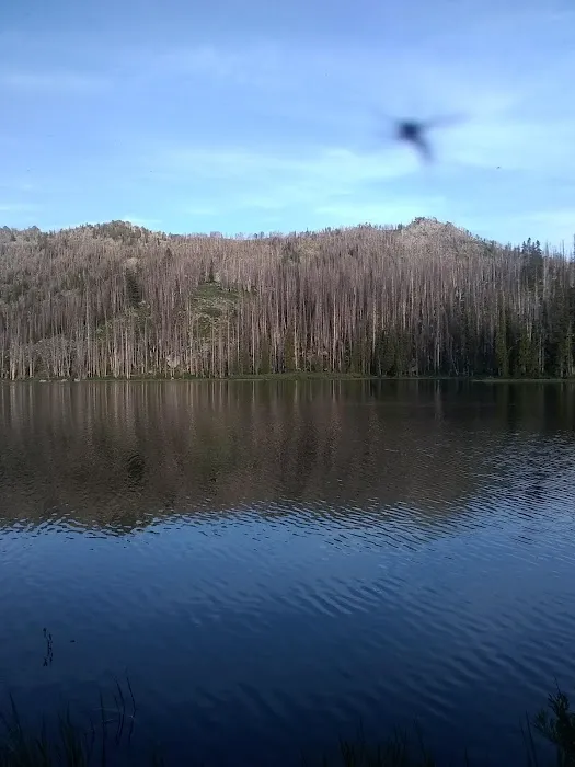 Big Trinity Lake Campground 2