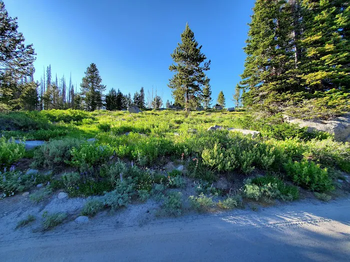Big Trinity Lake Campground 0