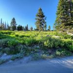 Big Trinity Lake Campground