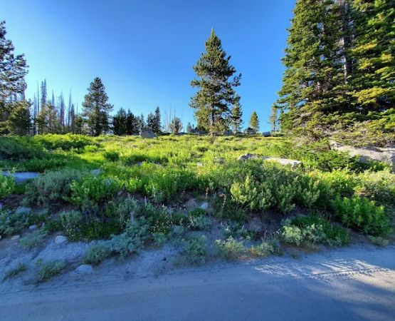 Big Trinity Lake Campground