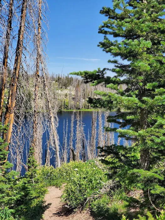 Big Trinity Lake Campground 8