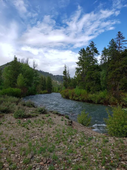 Canyon Campground 1